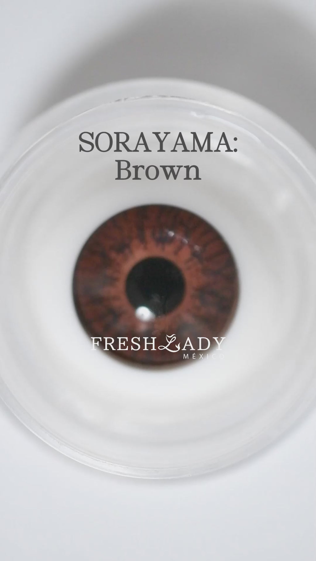 Brown: SORAYAMA