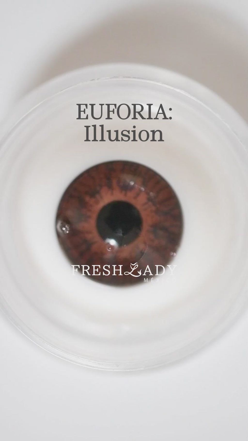 Gray Illusion: Euforia