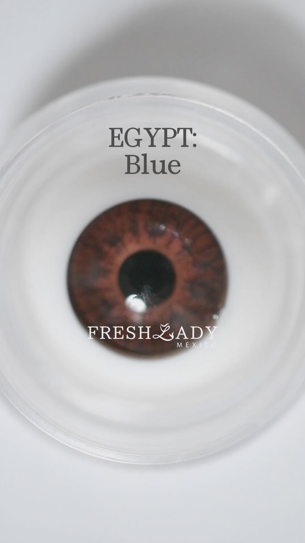 Blue: Egypt