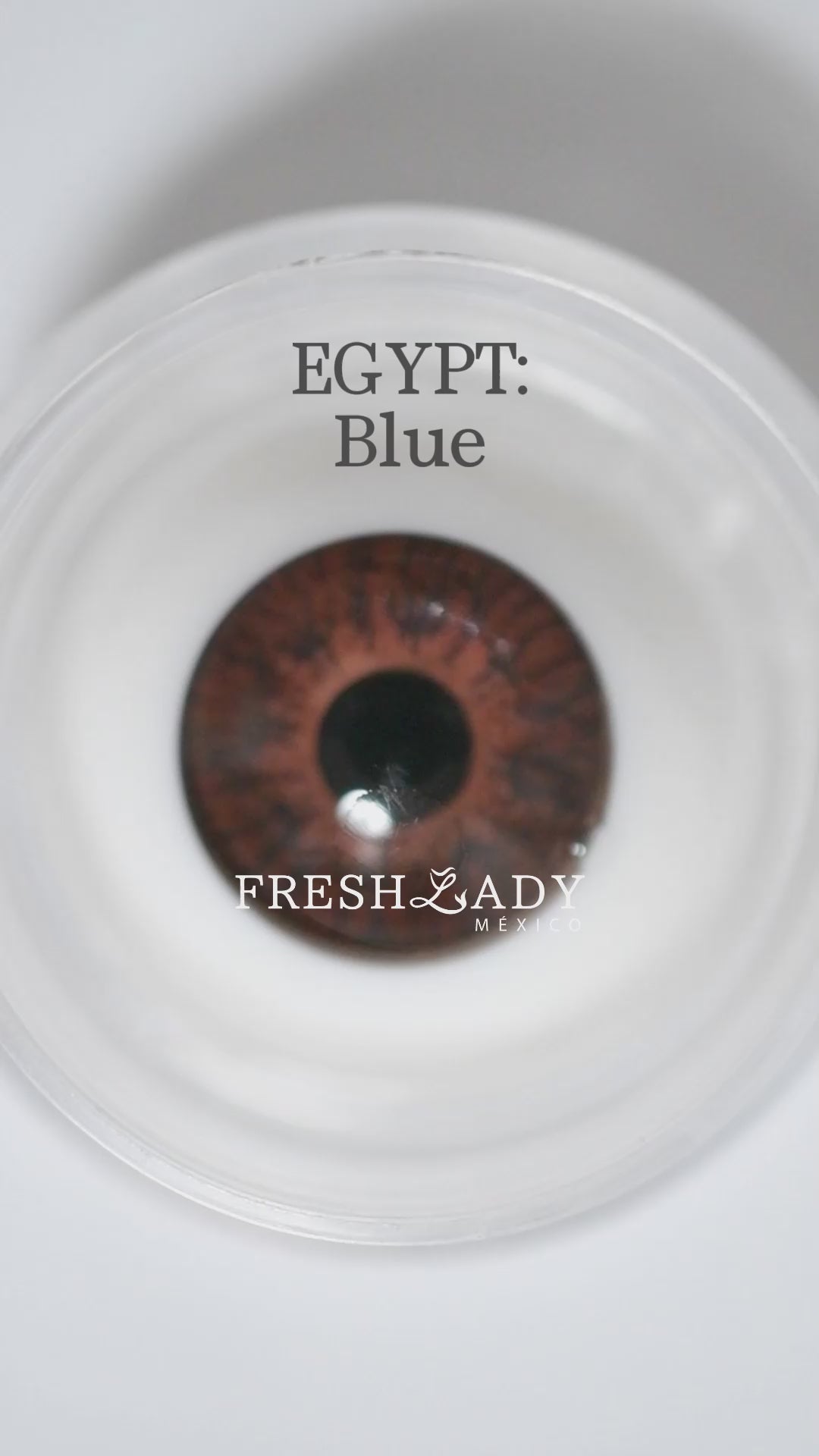Blue: Egypt