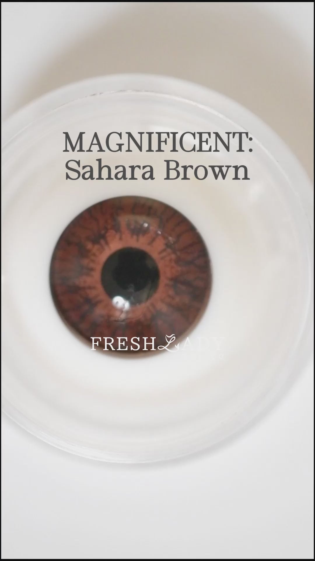 Brown Sahara: Magnificent