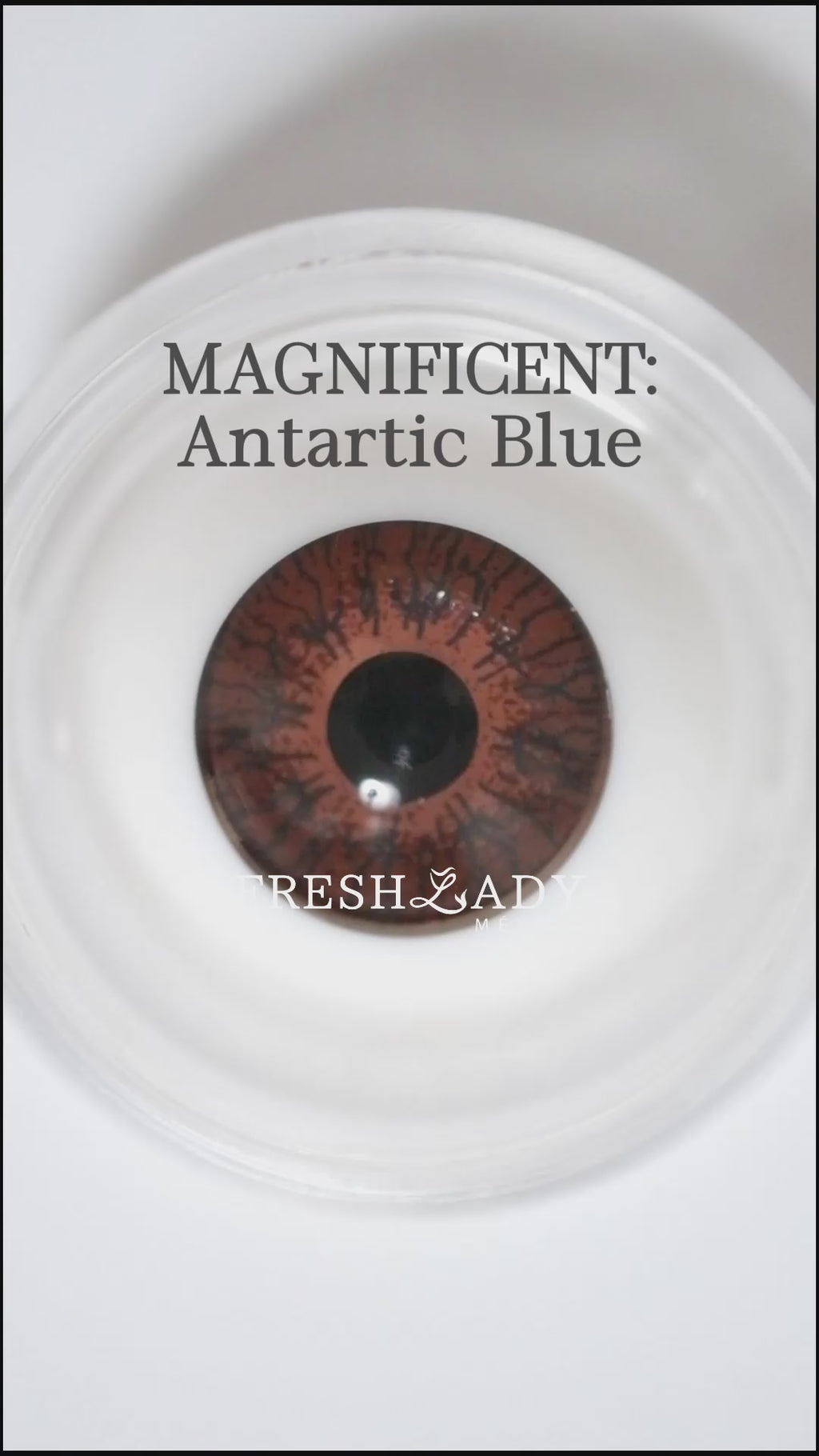 Blue Antartic: Magnificent
