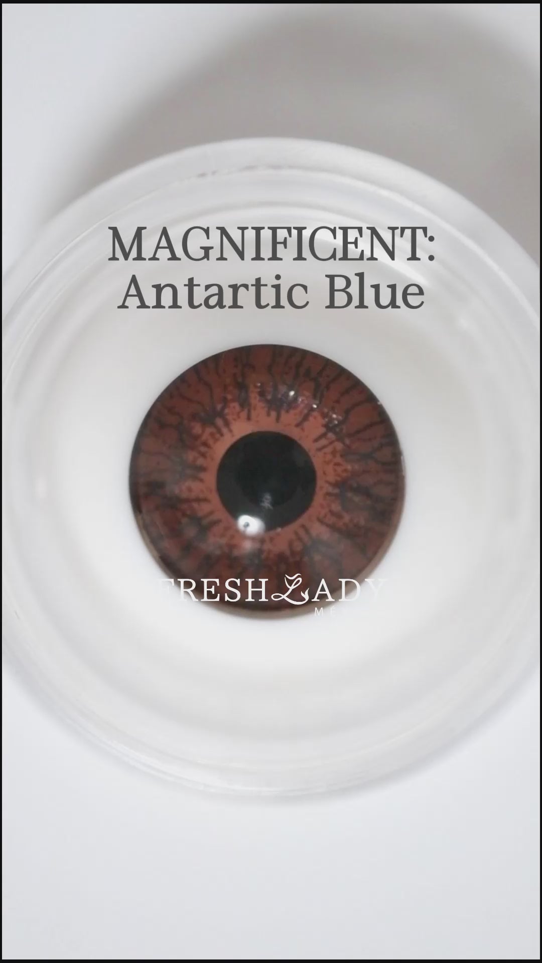 Blue Antartic: Magnificent