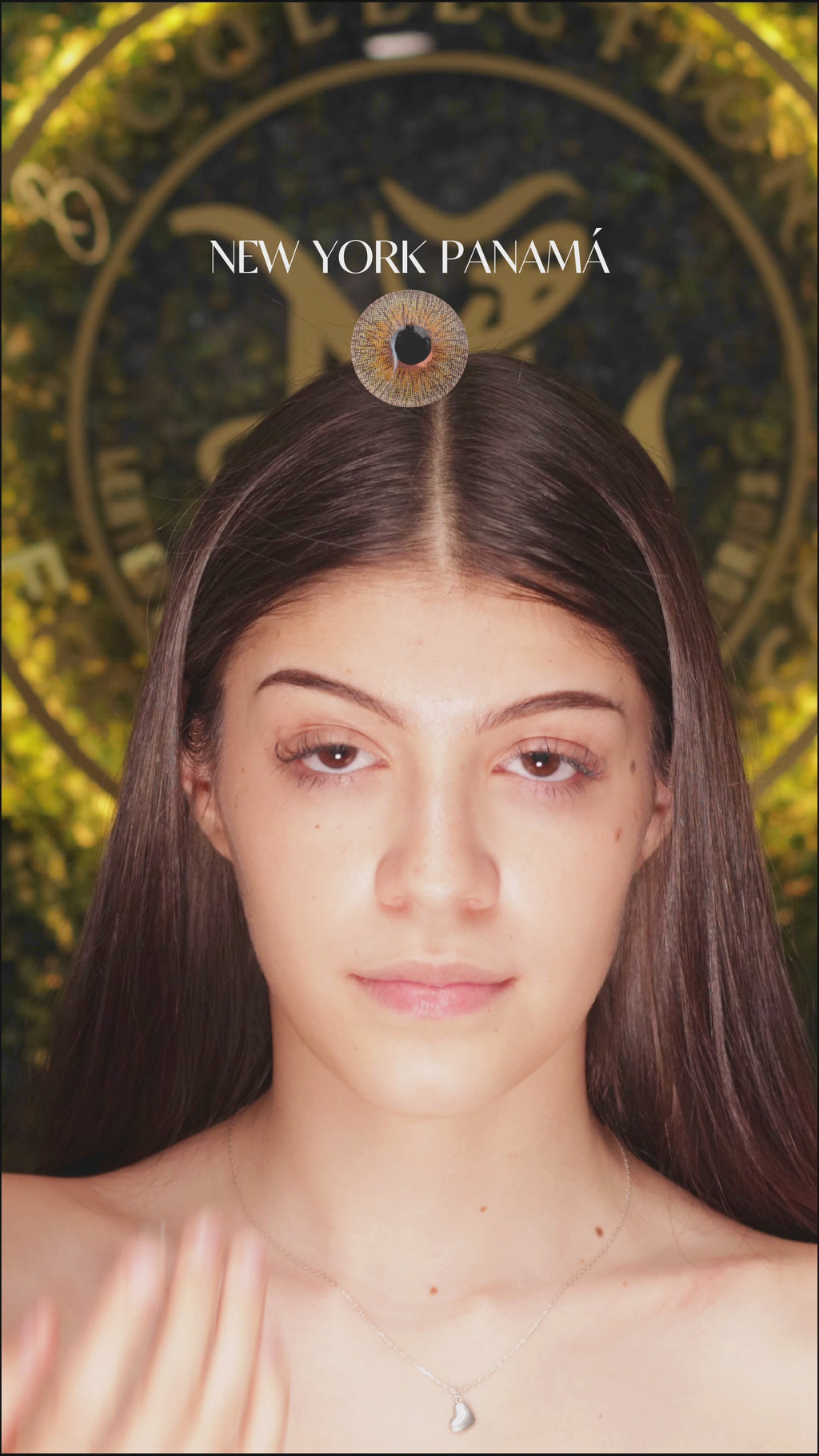 Brown Panama: New New York