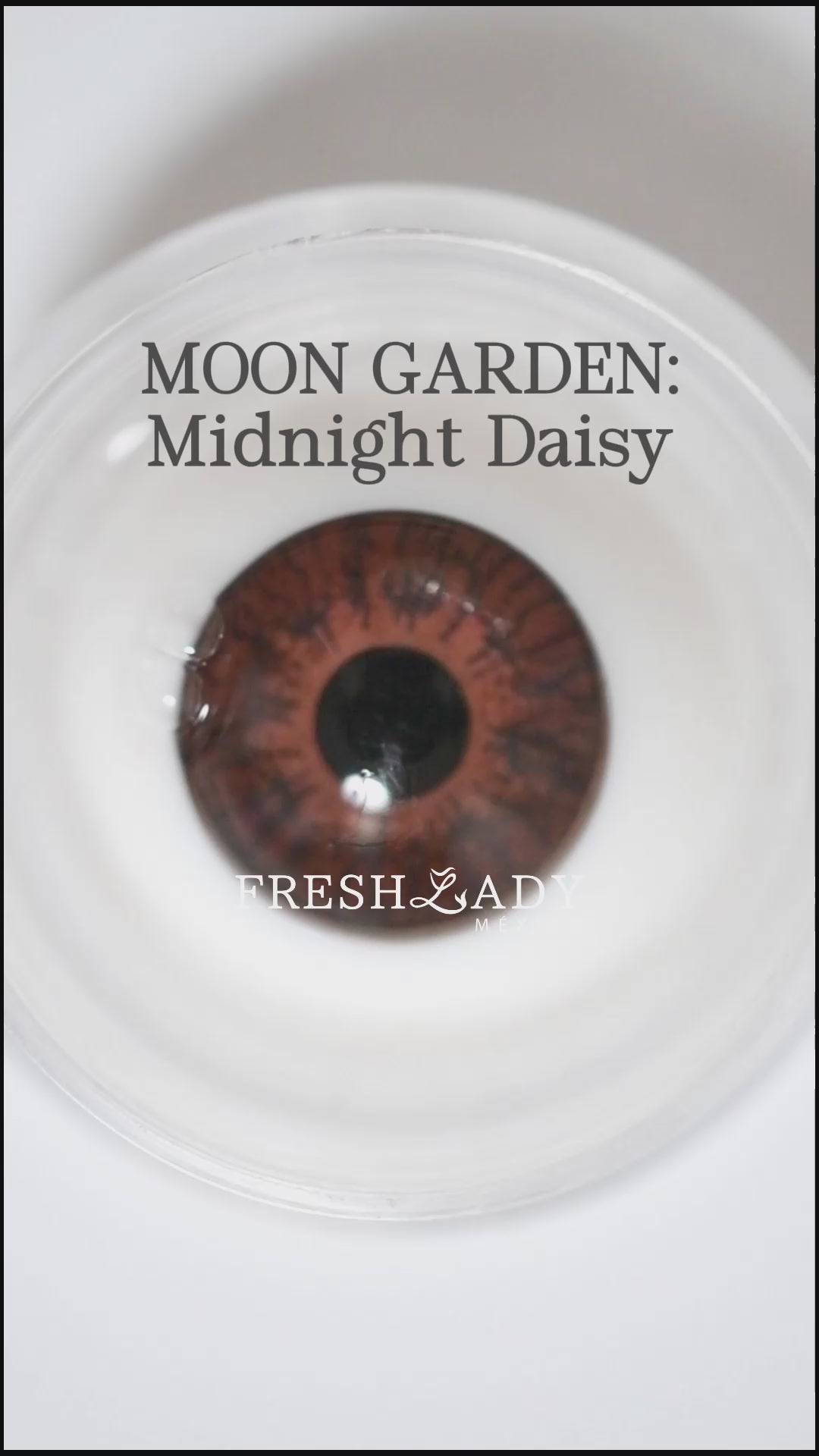 Green Midnight Daisy: Moon Garden