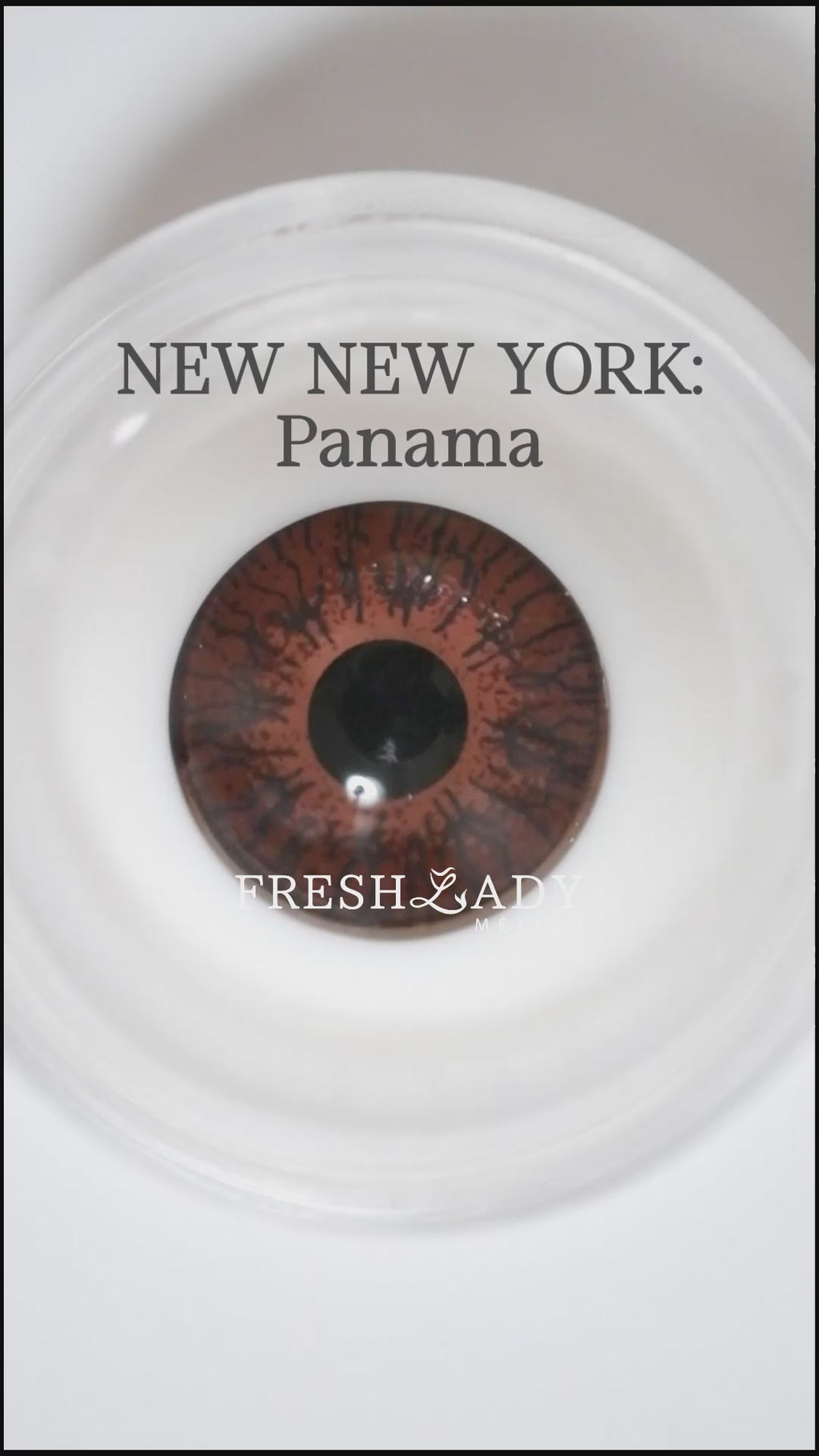 Brown Panama: New New York