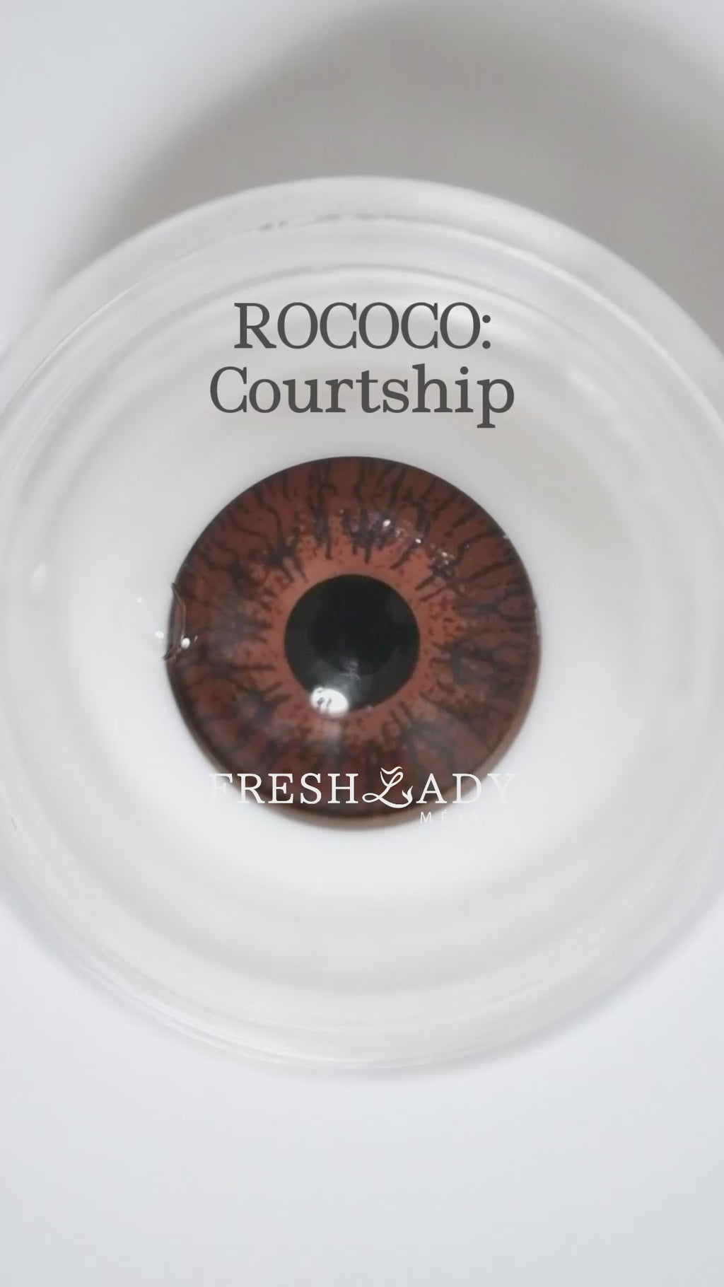 Gray Courtship: ROCOCO