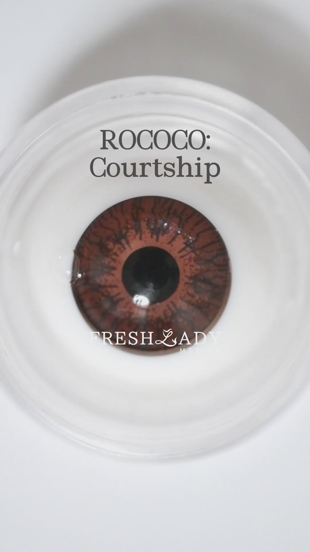 Gray Courtship: ROCOCO