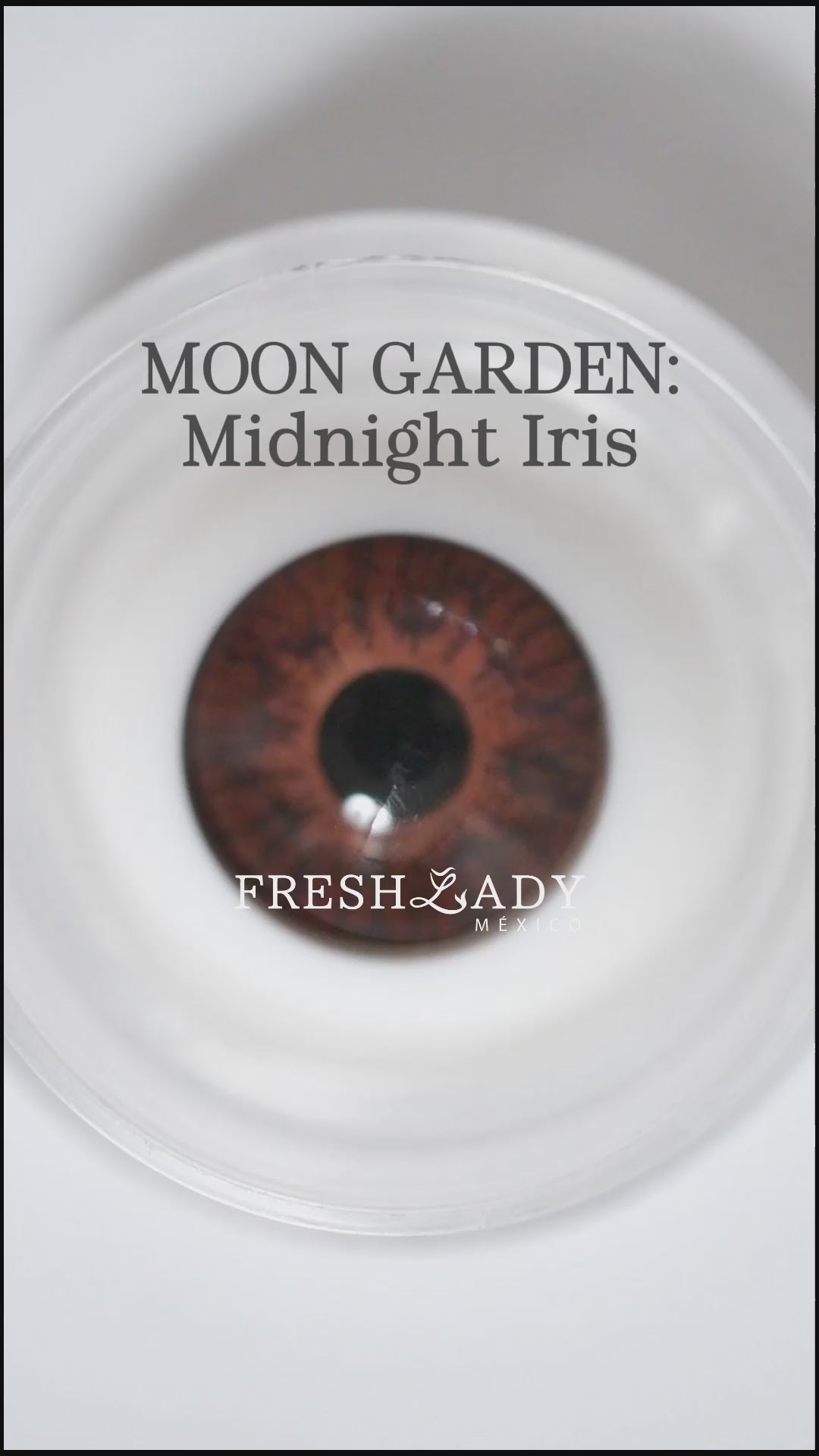 Gray Moonlight Iris: Moon Garden