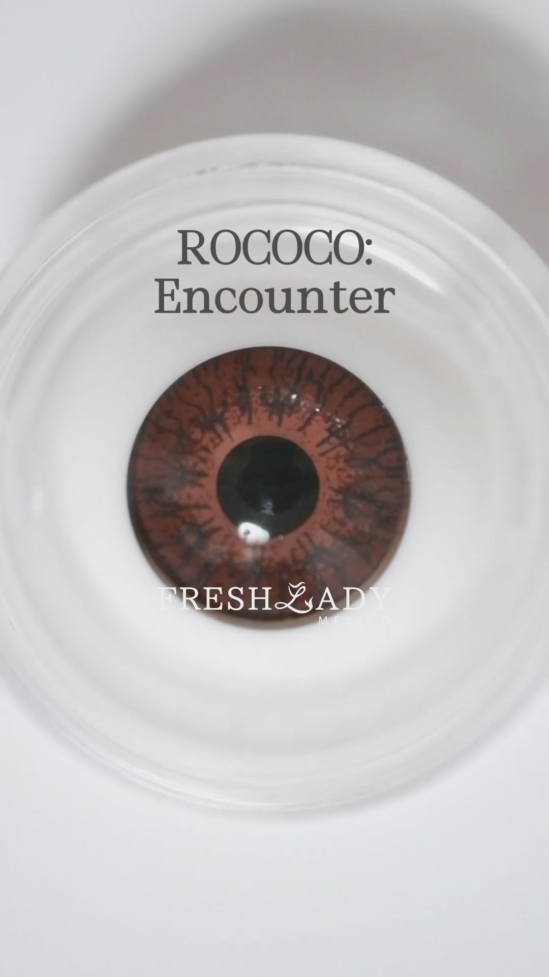 Green Encounter: ROCOCO