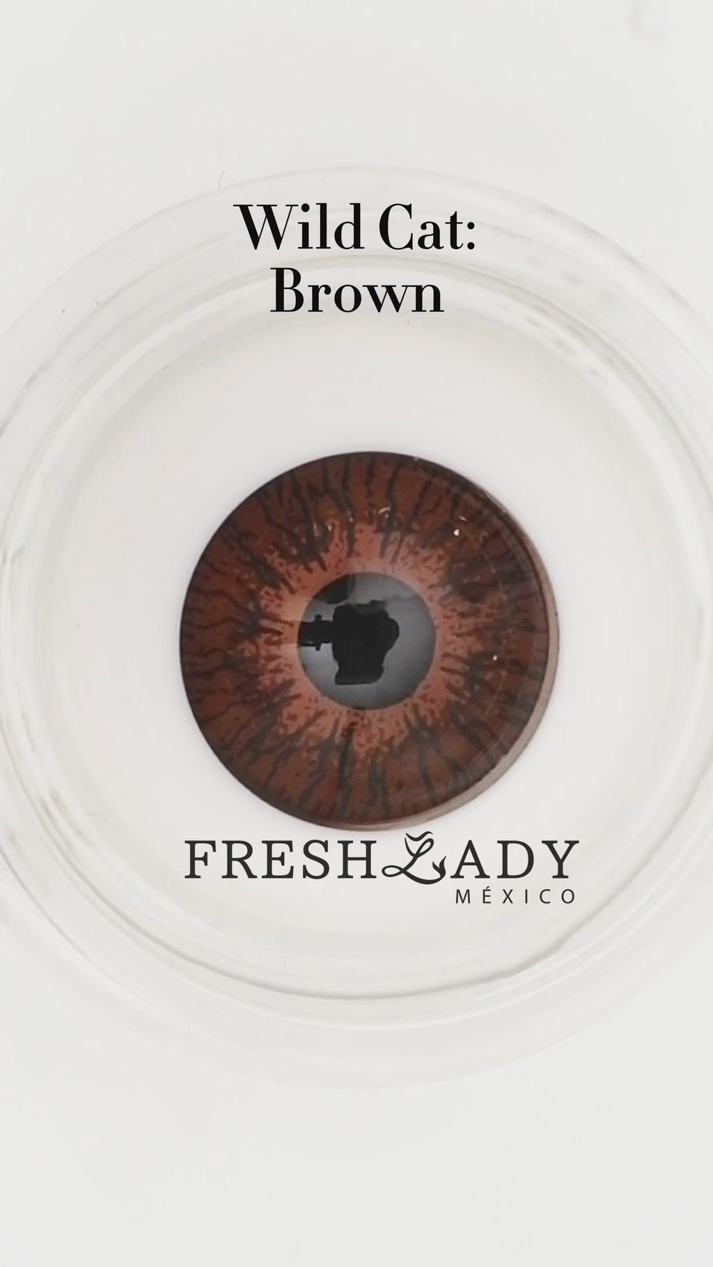Brown: WildCat