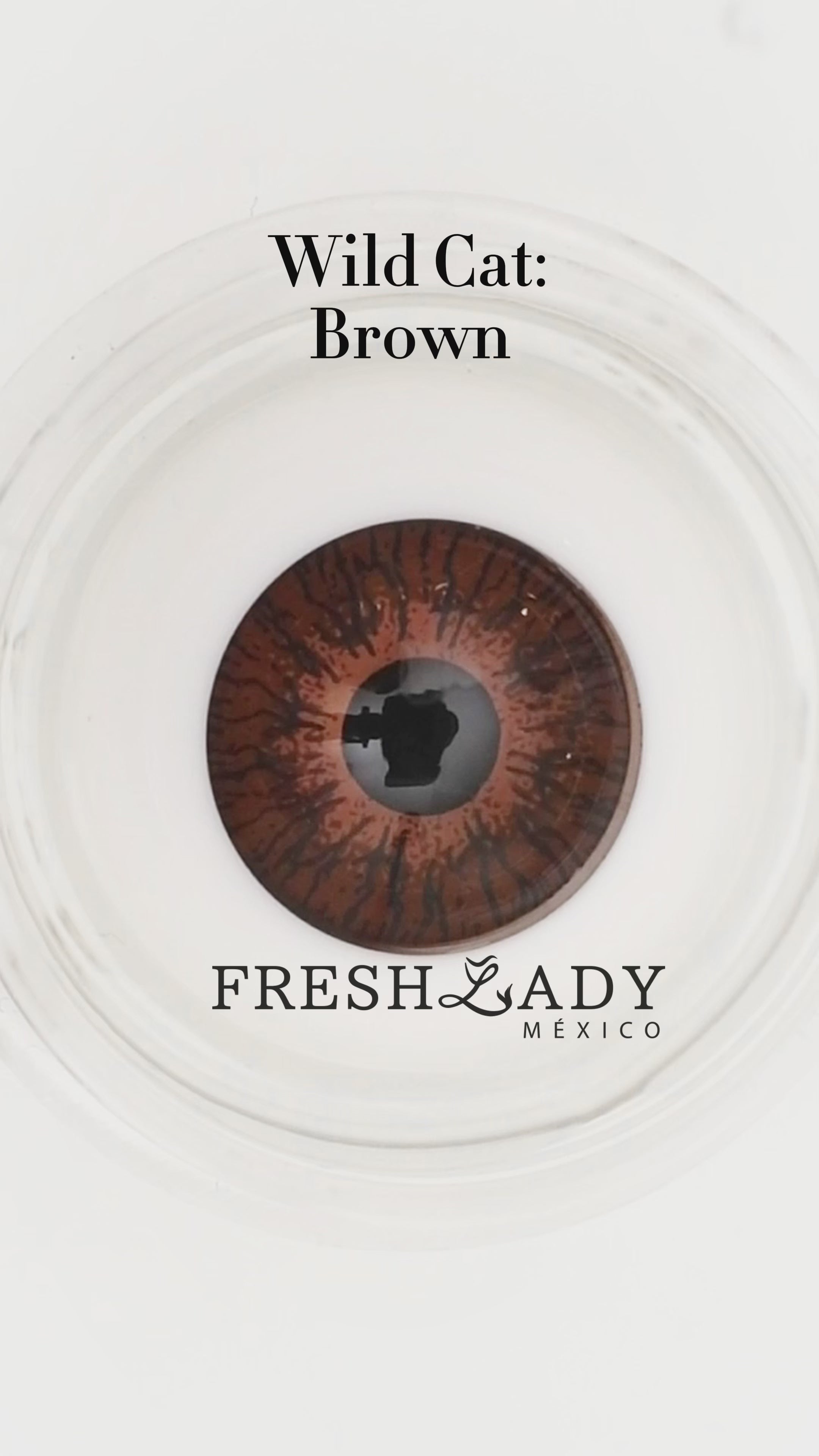Brown: WildCat