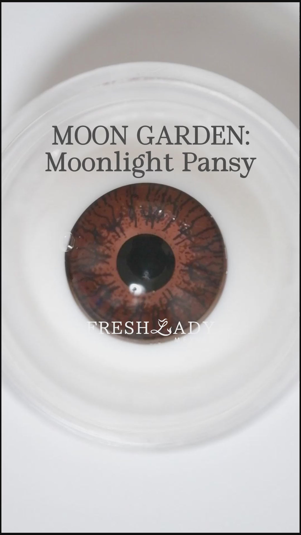 Hazel Moonlight Pansy: Moon Garden